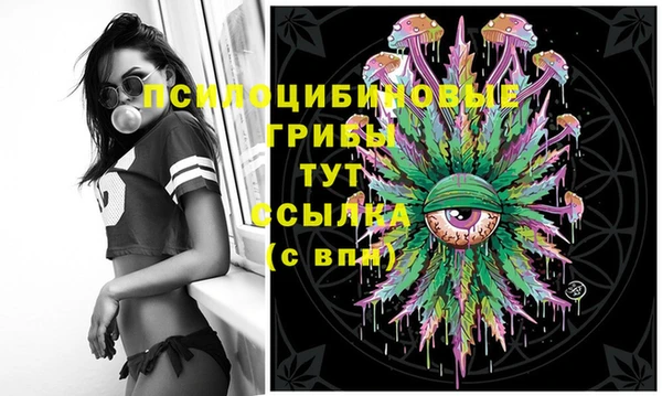 винт Покров