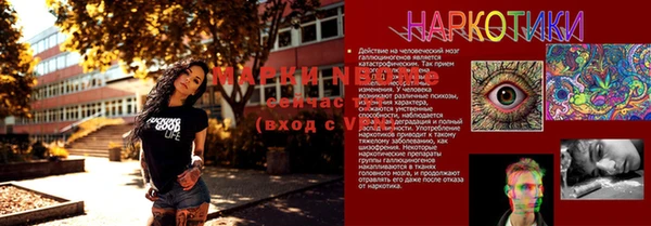 кокс Аркадак